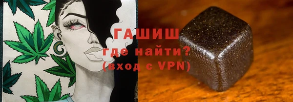 индика Алексин