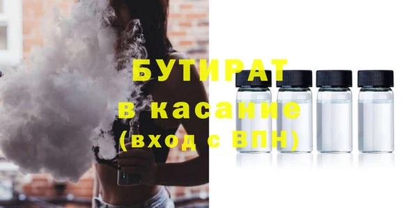 индика Алексин