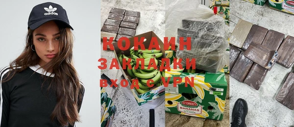 индика Алексин