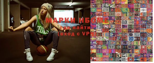 индика Алексин