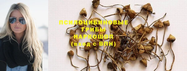 каннабис Абаза