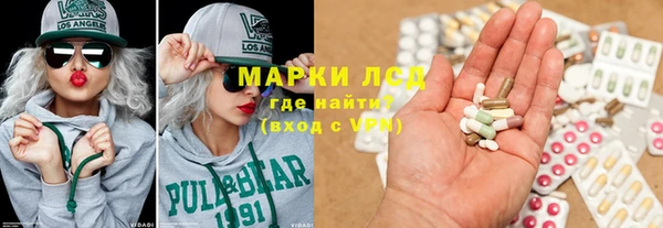 индика Алексин