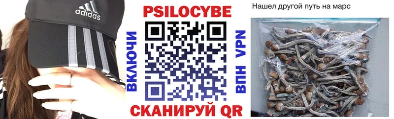 mega вход  Приозерск  Галлюциногенные грибы Psilocybe 